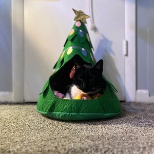 Meet your Posher, Kaitlyn